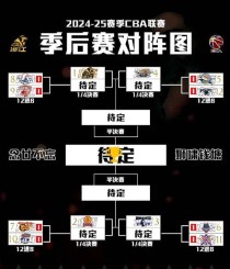 cba进季后赛的条件，cba进季后赛的条件是什么