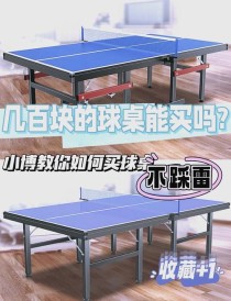 最便宜乒乓球桌子多少钱一张（乒乓球桌100元以下）