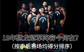 多伦多猛龙队庆祝总冠军（多伦多猛龙冠军阵容）