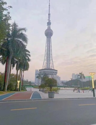 cba专用体育馆高度（cba各球队主场体育馆）