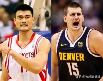 约基奇和努尔基奇为什么不能兼容（约基奇和诺维茨基）