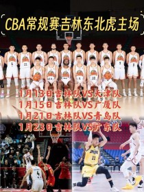 cba篮球队队员名单（cba篮球成员）