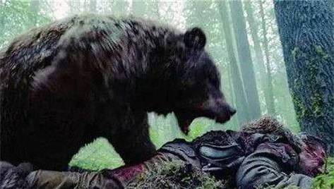 灰熊为什么杀掉灰熊人，灰熊人死前说了什么？  第2张