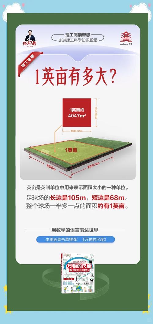 世界杯足球场面积约7000什么单位（世界杯足球场面积约为七千）  第5张