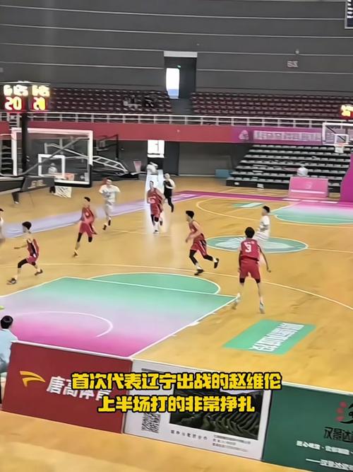 哪里能看到cba回放，在那里可以看cba回放  第2张