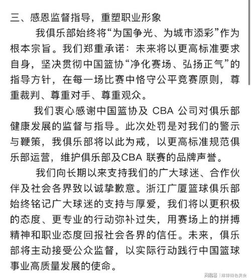 cba首支纪录片出炉，cba纪录片2020  第2张