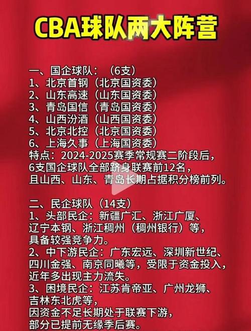 收购cba球队多少钱，收购cba球队多少钱一个  第5张