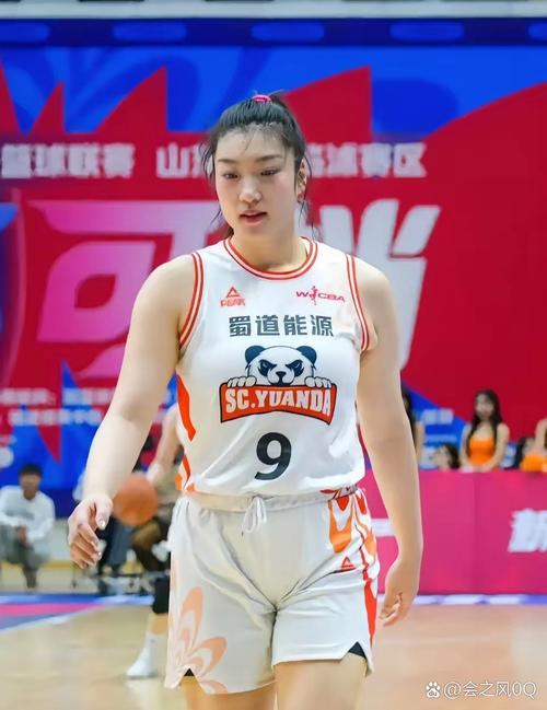 在wnba打球的中国女篮有谁，中国女篮球员在wnba的哪个队  第1张