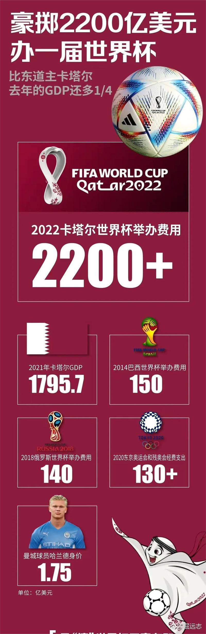 卡塔尔世界杯花了多少钱花在什么地方（卡塔尔世界杯官方用球）  第5张