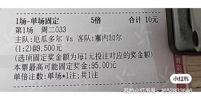 卡塔尔世界杯花了多少钱花在什么地方（卡塔尔世界杯官方用球）  第7张