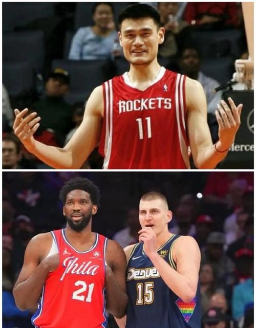 约基奇和努尔基奇为什么不能兼容（约基奇和诺维茨基）  第2张