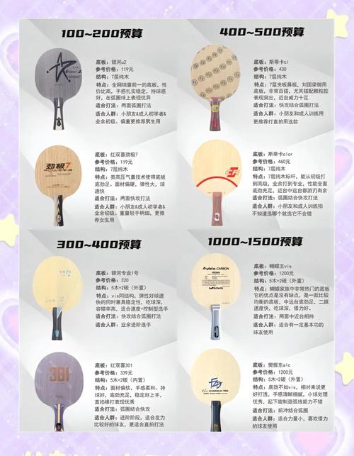 怎么选乒乓球拍,怎么选乒乓球拍才是最好 第1张 怎么选乒乓球拍,怎么选乒乓球拍才是最好 第1张
