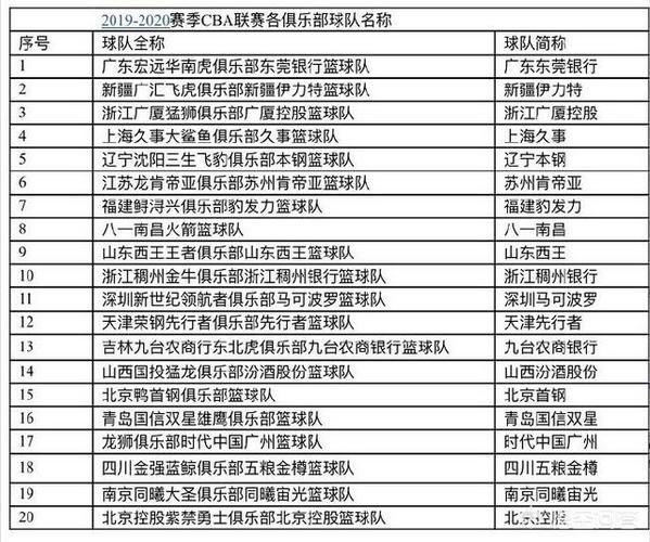 cba为什么不用队名,为什么cba的队名老是改来改去 第6张 cba为什么不用队名,为什么cba的队名老是改来改去 第6张