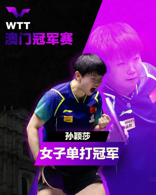 乒乓球总决赛女单冠军,乒乓球总决赛女双冠军 第3张 乒乓球总决赛女单冠军,乒乓球总决赛女双冠军 第3张