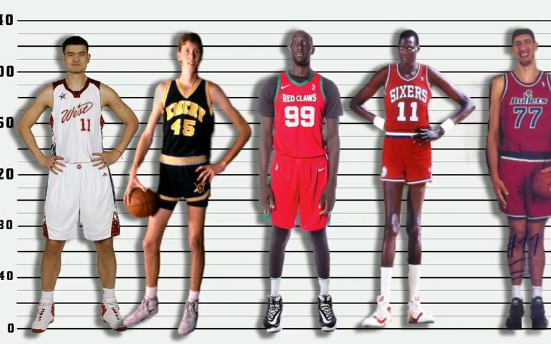 nba多久测量身高,nba多久测量身高最准 第2张 nba多久测量身高,nba多久测量身高最准 第2张