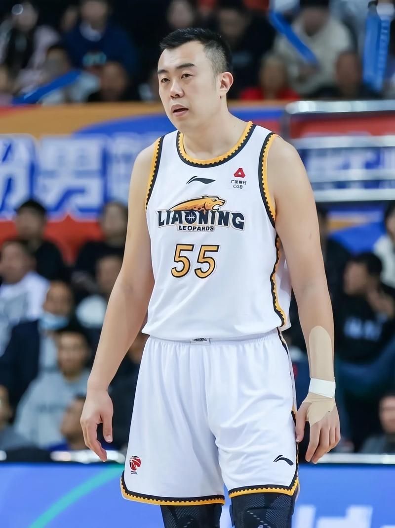 cba辽宁队球员资料,cba辽宁队球员资料介绍 第3张 cba辽宁队球员资料,cba辽宁队球员资料介绍 第3张
