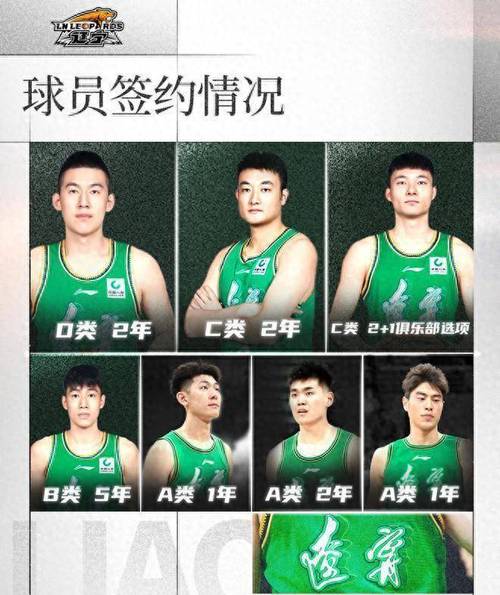 cba辽宁籍球员名单,cba官方统计辽宁籍球员? 第2张 cba辽宁籍球员名单,cba官方统计辽宁籍球员? 第2张